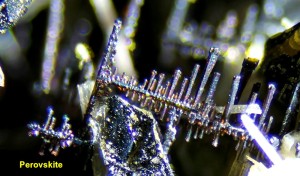 Photo 23 Perovskite Graulei.jpg