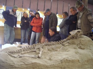 Photo Allemagne070.jpg