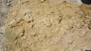 Photo Image008 (2).jpg