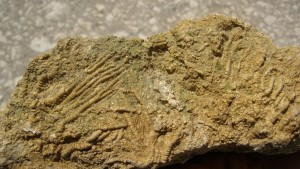 Photo Image010 (2).jpg