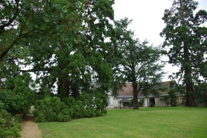 Photo MUSEE DE M THUSSEAUD 7.JPG