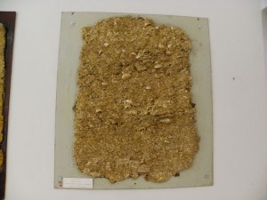 Photo MUSEE DU SAVIGNEEN 77.JPG