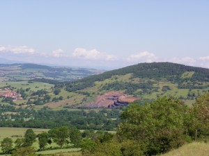 Photo Olivine (2).jpg