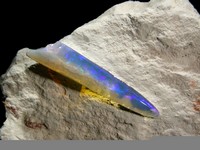 Bienvenue sur Geolor