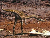 Bienvenue sur Geolor