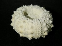 Bienvenue sur Geolor